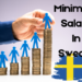 Know What is the Minimum Salary In Sweden(2024)